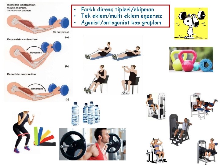  • Farklı direnç tipleri/ekipman • Tek eklem/multi eklem egzersiz • Agonist/antagonist kas grupları