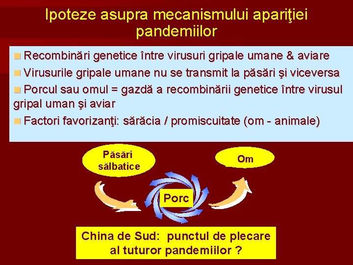 Ipoteze asupra mecanismului apariţiei pandemiilor n Recombinări genetice între virusuri gripale umane & aviare