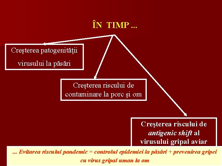 ÎN TIMP. . . Creşterea patogenităţii virusului la păsări Creşterea riscului de contaminare la