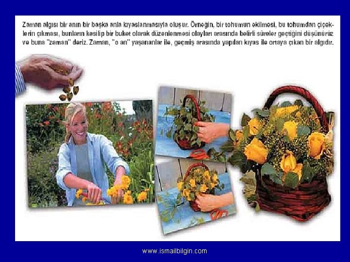 www. ismailbilgin. com 