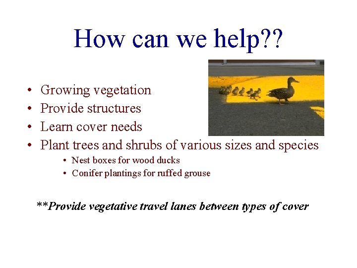 How can we help? ? • • Growing vegetation Provide structures Learn cover needs