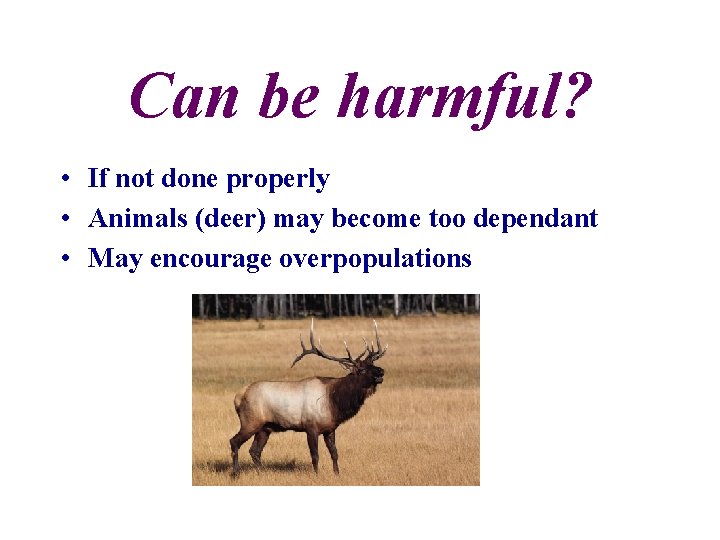 Can be harmful? • If not done properly • Animals (deer) may become too