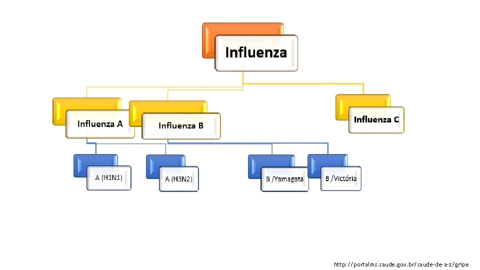 http: //portalms. saude. gov. br/saude-de-a-z/gripe 