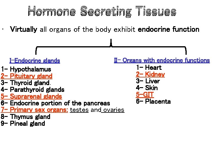 Hormone Secreting Tissues • Virtually all organs of the body exhibit endocrine function I-Endocrine