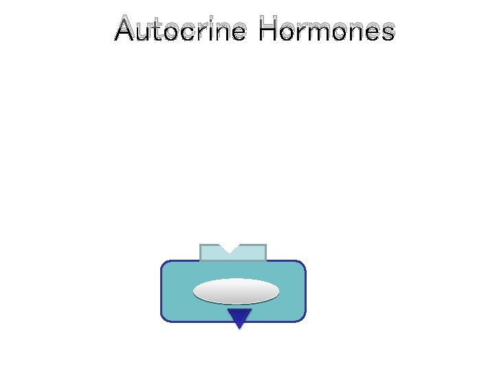 Autocrine Hormones 