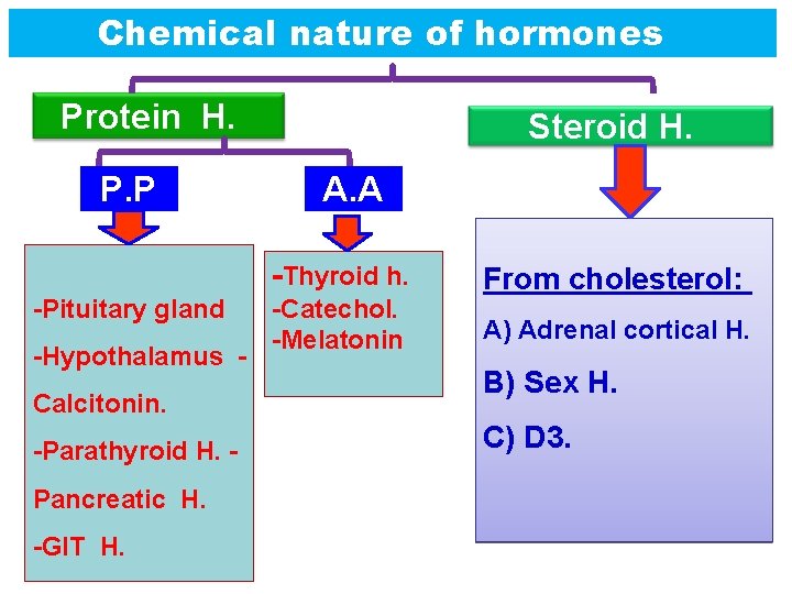 Chemical nature of hormones Protein H. P. P Steroid H. A. A -Thyroid h.