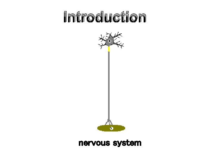 Introduction nervous system 