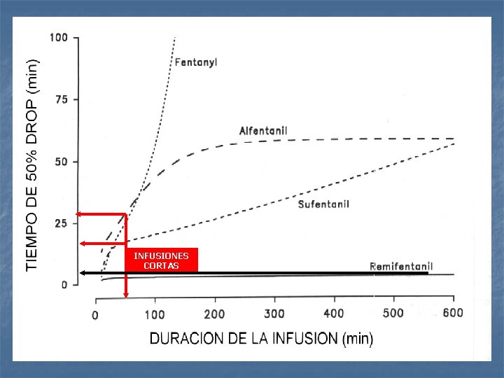 INFUSIONES CORTAS 