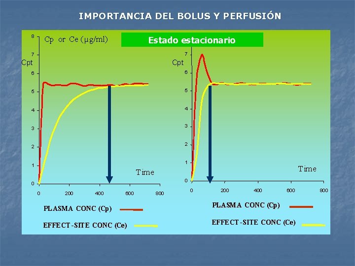 IMPORTANCIA DEL BOLUS Y PERFUSIÓN 8 8 Cp 1 er or Ceappareils ( µg/ml)