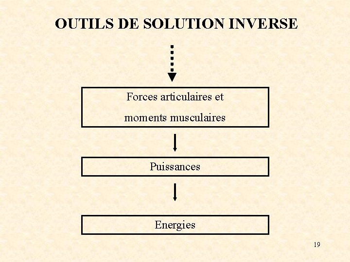 OUTILS DE SOLUTION INVERSE Forces articulaires et moments musculaires Puissances Energies 19 