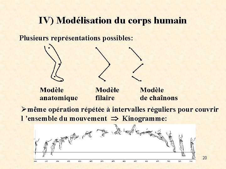 IV) Modélisation du corps humain Plusieurs représentations possibles: Ømême opération répétée à intervalles réguliers