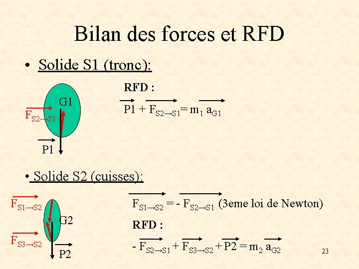 Bilan des forces et RFD • Solide S 1 (tronc): RFD : FS 2→S