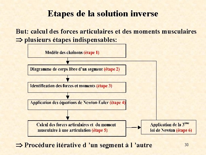 Etapes de la solution inverse But: calcul des forces articulaires et des moments musculaires