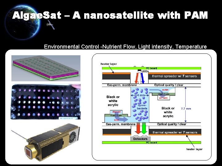 Algae. Sat – A nanosatellite with PAM Environmental Control -Nutrient Flow, Light intensity, Temperature