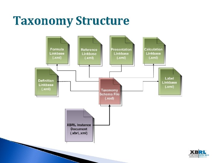 Taxonomy Structure 