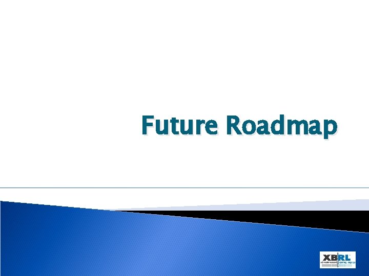 Future Roadmap 