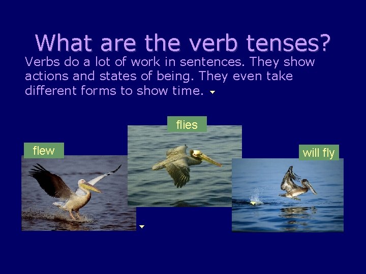 What are the verb tenses? Verbs do a lot of work in sentences. They
