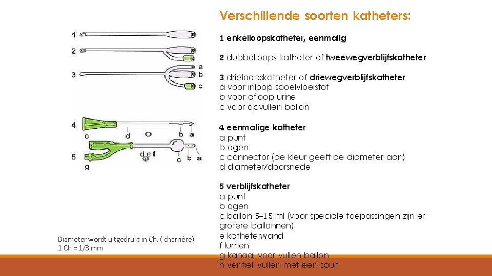 Verschillende soorten katheters: 1 enkelloopskatheter, eenmalig 2 dubbelloops katheter of tweewegverblijfskatheter 3 drieloopskatheter of