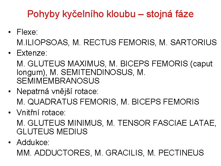 Pohyby kyčelního kloubu – stojná fáze • Flexe: M. ILIOPSOAS, M. RECTUS FEMORIS, M.