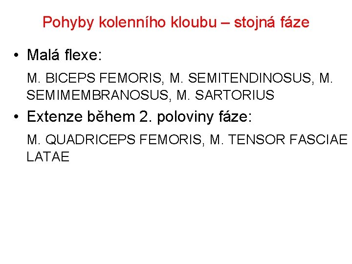Pohyby kolenního kloubu – stojná fáze • Malá flexe: M. BICEPS FEMORIS, M. SEMITENDINOSUS,