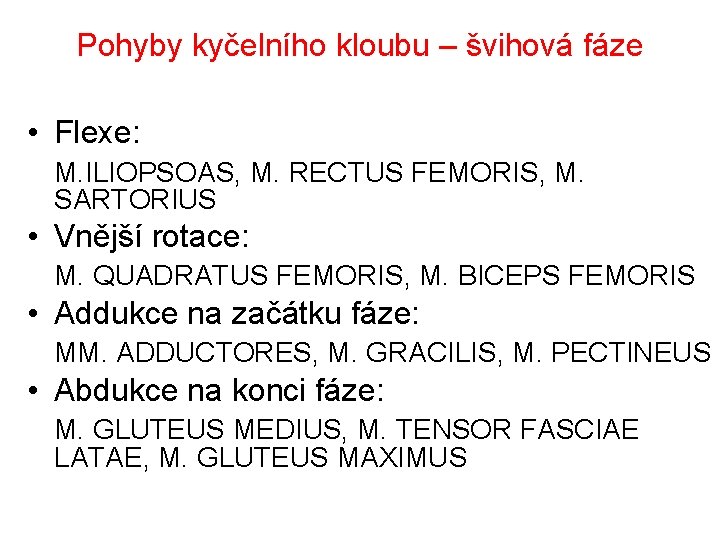 Pohyby kyčelního kloubu – švihová fáze • Flexe: M. ILIOPSOAS, M. RECTUS FEMORIS, M.