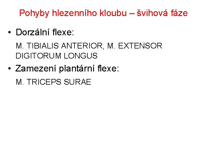 Pohyby hlezenního kloubu – švihová fáze • Dorzální flexe: M. TIBIALIS ANTERIOR, M. EXTENSOR