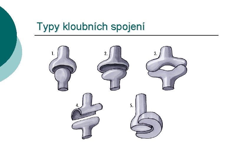Typy kloubních spojení 