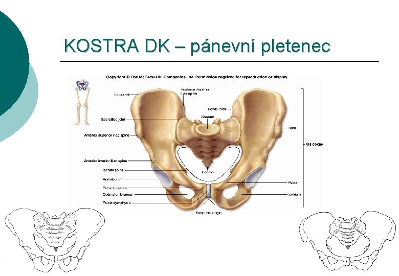 KOSTRA DK – pánevní pletenec 