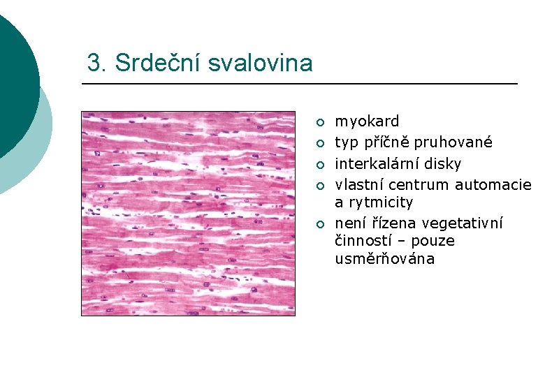3. Srdeční svalovina ¡ ¡ ¡ myokard typ příčně pruhované interkalární disky vlastní centrum