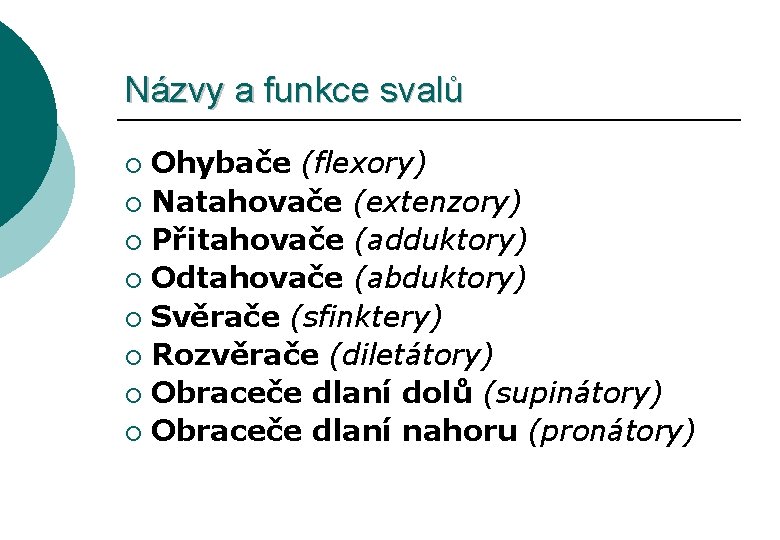 Názvy a funkce svalů Ohybače (flexory) ¡ Natahovače (extenzory) ¡ Přitahovače (adduktory) ¡ Odtahovače