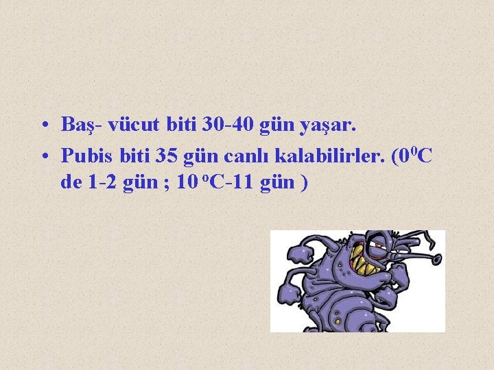  • Baş- vücut biti 30 -40 gün yaşar. • Pubis biti 35 gün