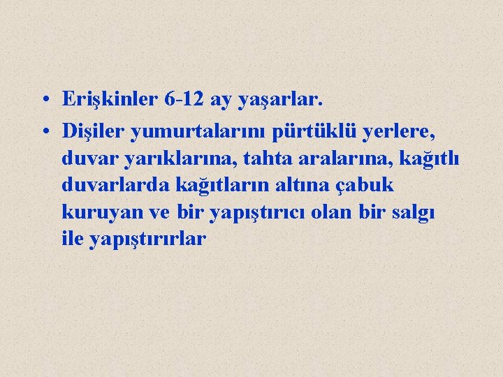  • Erişkinler 6 -12 ay yaşarlar. • Dişiler yumurtalarını pürtüklü yerlere, duvar yarıklarına,