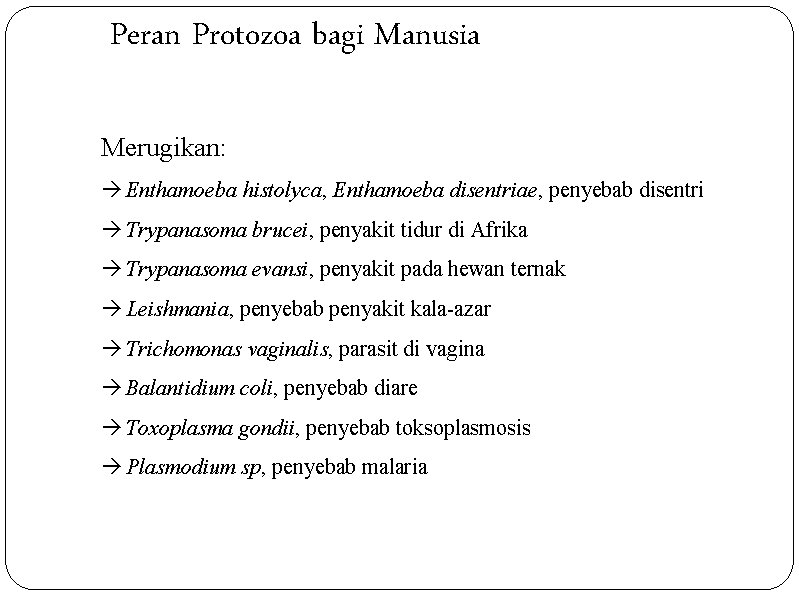 Peran Protozoa bagi Manusia Merugikan: Enthamoeba histolyca, Enthamoeba disentriae, penyebab disentri Trypanasoma brucei, penyakit