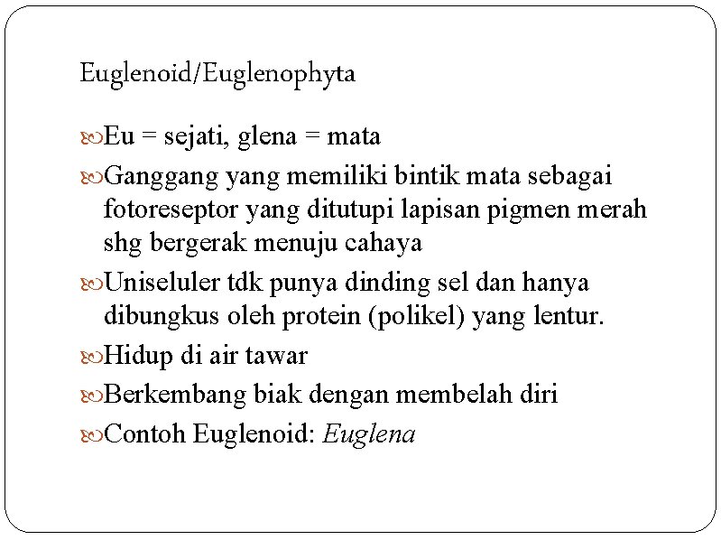 Euglenoid/Euglenophyta Eu = sejati, glena = mata Ganggang yang memiliki bintik mata sebagai fotoreseptor