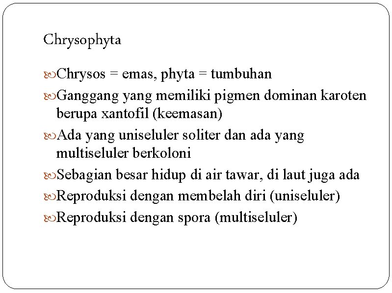 Chrysophyta Chrysos = emas, phyta = tumbuhan Ganggang yang memiliki pigmen dominan karoten berupa