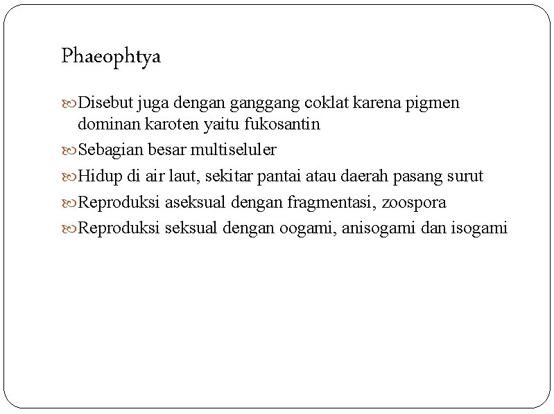 Phaeophtya Disebut juga dengan gang coklat karena pigmen dominan karoten yaitu fukosantin Sebagian besar