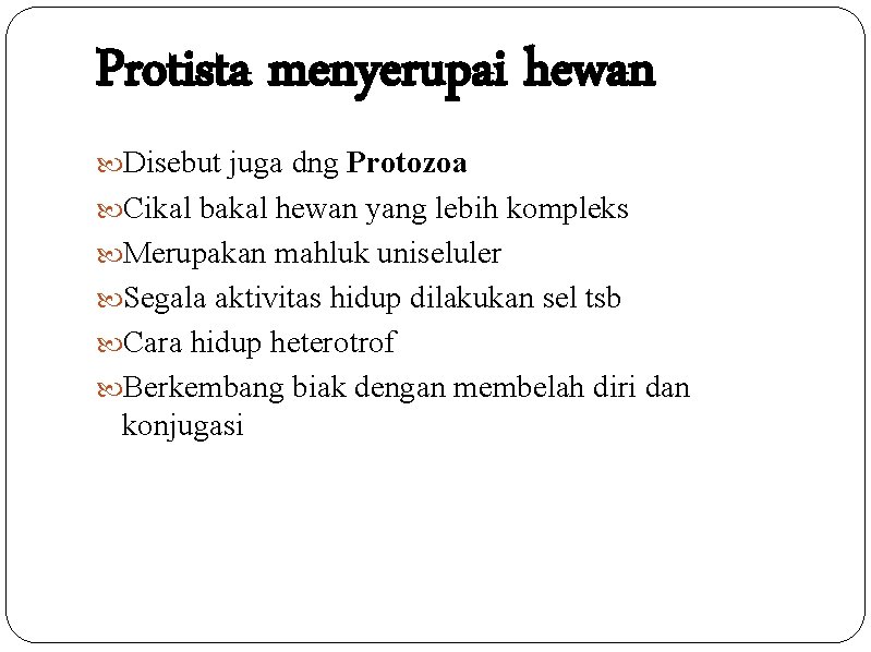 Protista menyerupai hewan Disebut juga dng Protozoa Cikal bakal hewan yang lebih kompleks Merupakan