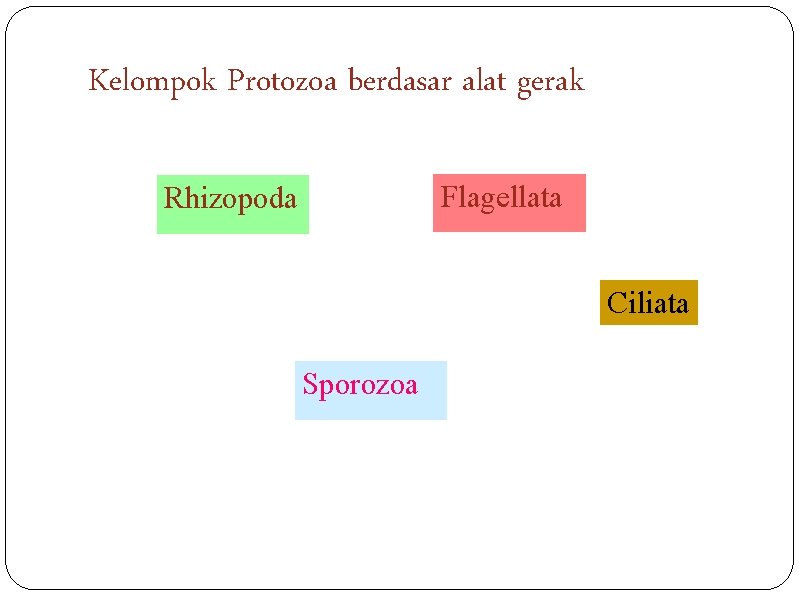 Kelompok Protozoa berdasar alat gerak Flagellata Rhizopoda Ciliata Sporozoa 