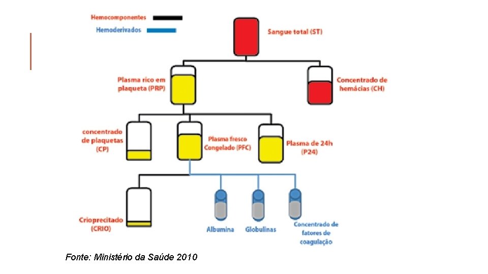 Fonte: Ministério da Saúde 2010 