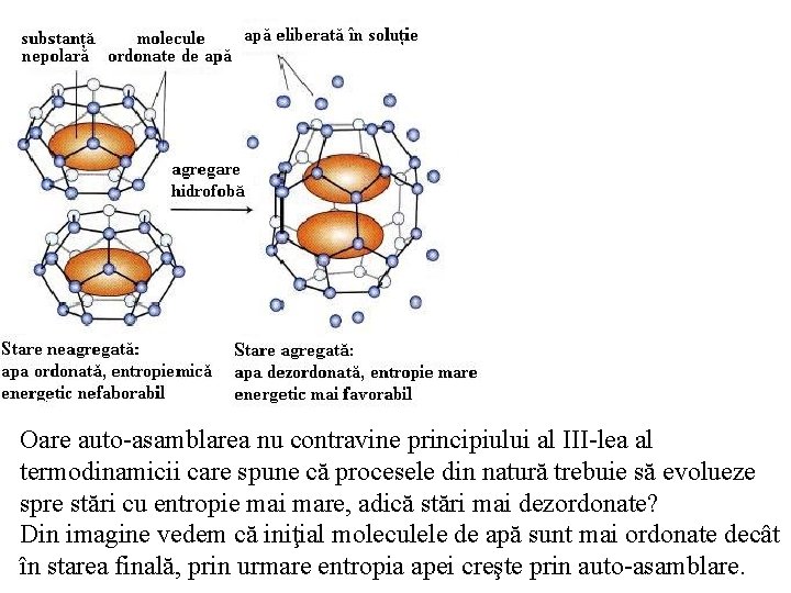 Oare auto-asamblarea nu contravine principiului al III-lea al termodinamicii care spune că procesele din