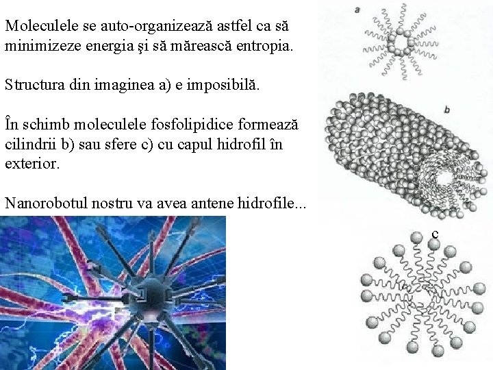 Moleculele se auto-organizează astfel ca să minimizeze energia şi să mărească entropia. Structura din