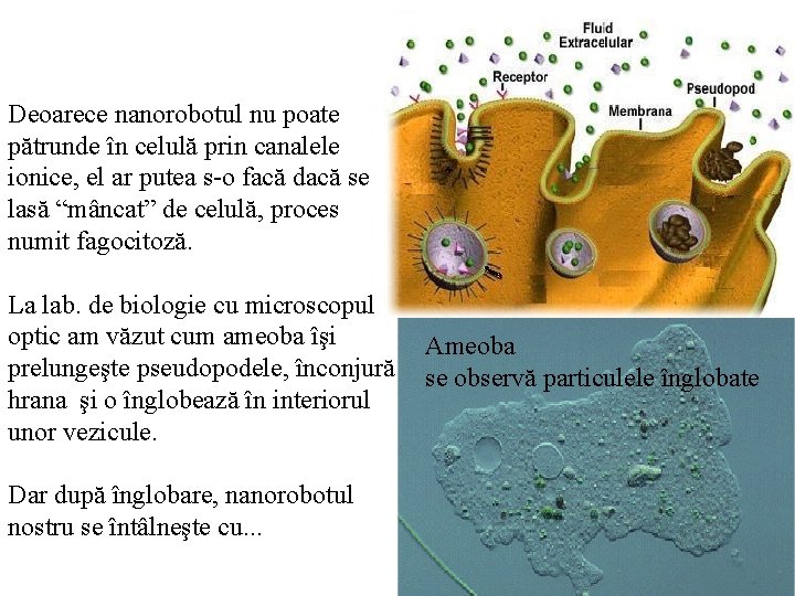 Deoarece nanorobotul nu poate pătrunde în celulă prin canalele ionice, el ar putea s-o