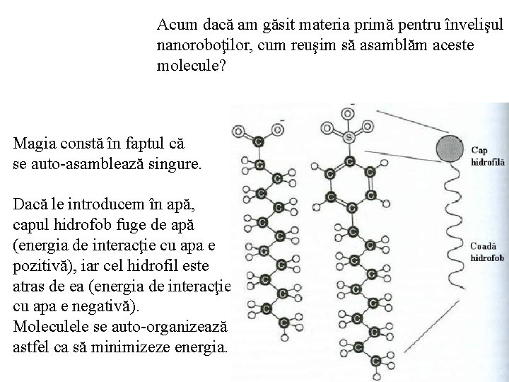 Acum dacă am găsit materia primă pentru învelişul nanoroboţilor, cum reuşim să asamblăm aceste