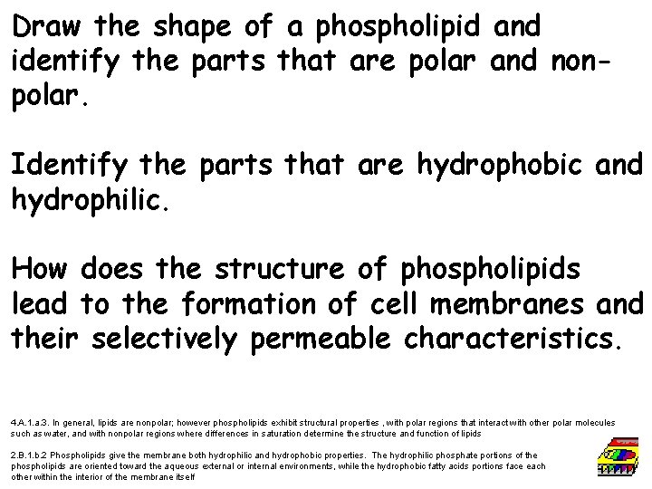 Draw the shape of a phospholipid and identify the parts that are polar and