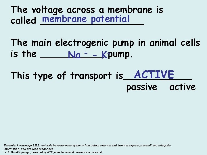The voltage across a membrane is membrane potential called _________ The main electrogenic pump