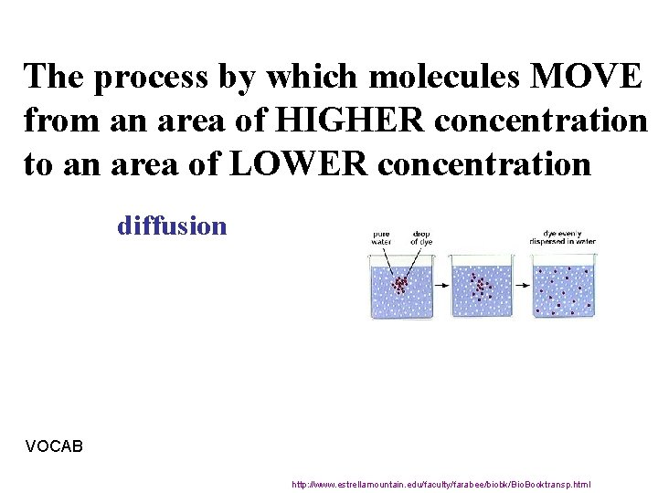 The process by which molecules MOVE from an area of HIGHER concentration to an