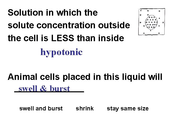 Solution in which the solute concentration outside the cell is LESS than inside hypotonic