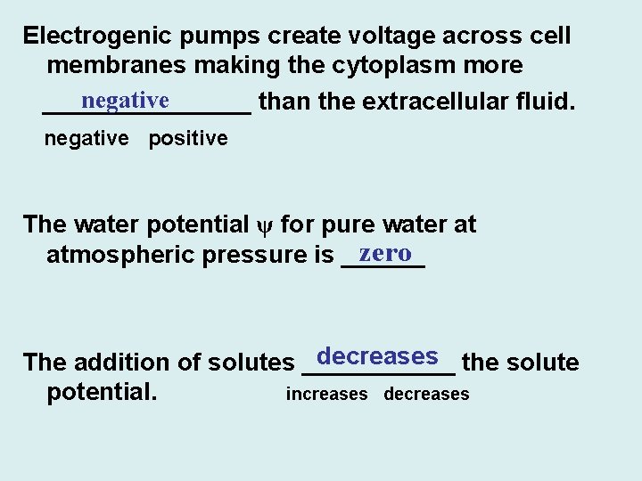 Electrogenic pumps create voltage across cell membranes making the cytoplasm more negative ________ than