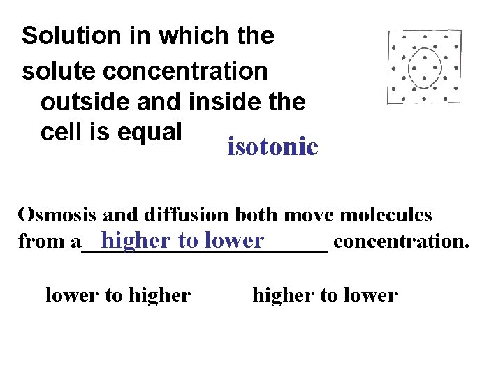 Solution in which the solute concentration outside and inside the cell is equal isotonic