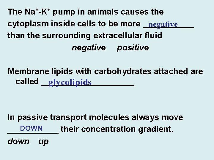 The Na+-K+ pump in animals causes the cytoplasm inside cells to be more ______